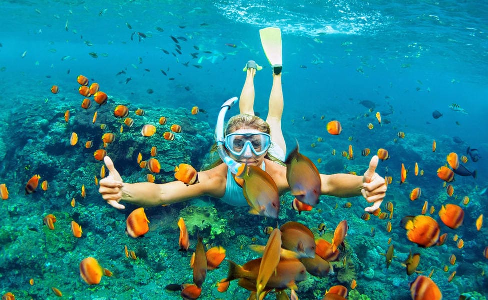 palawan philippines scuba diving tour